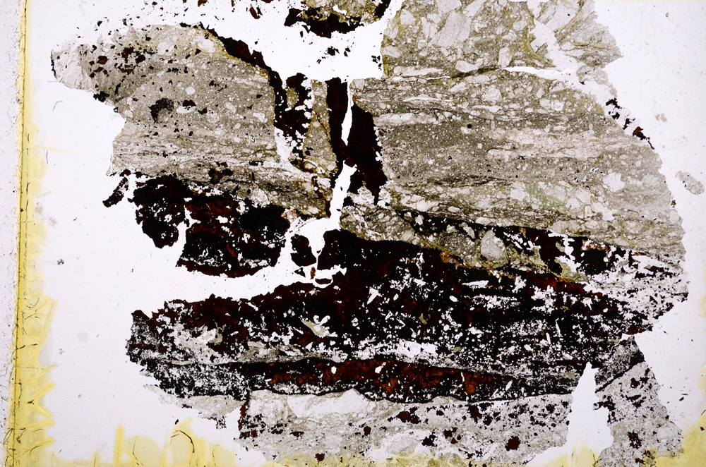 Plane Polarized, E17657