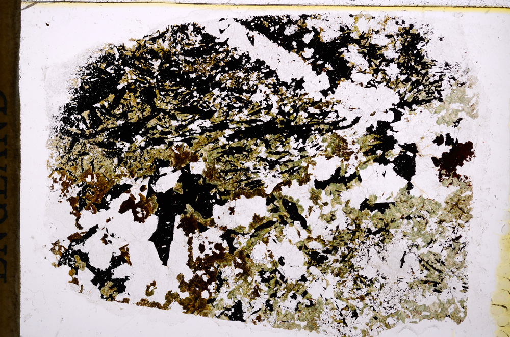 Plane Polarized, E17660