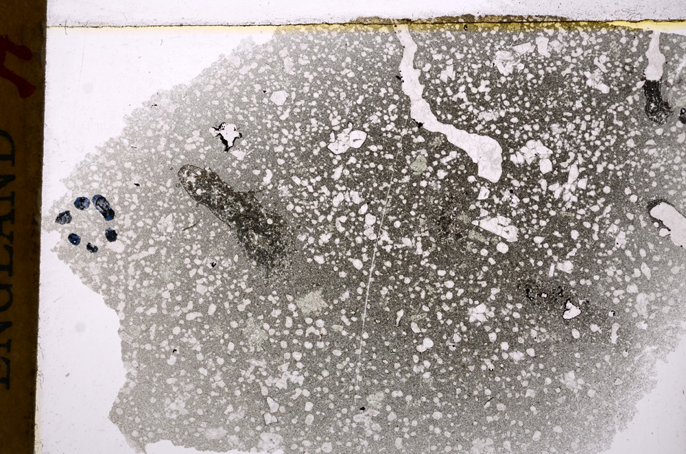 Plane Polarized, E17674