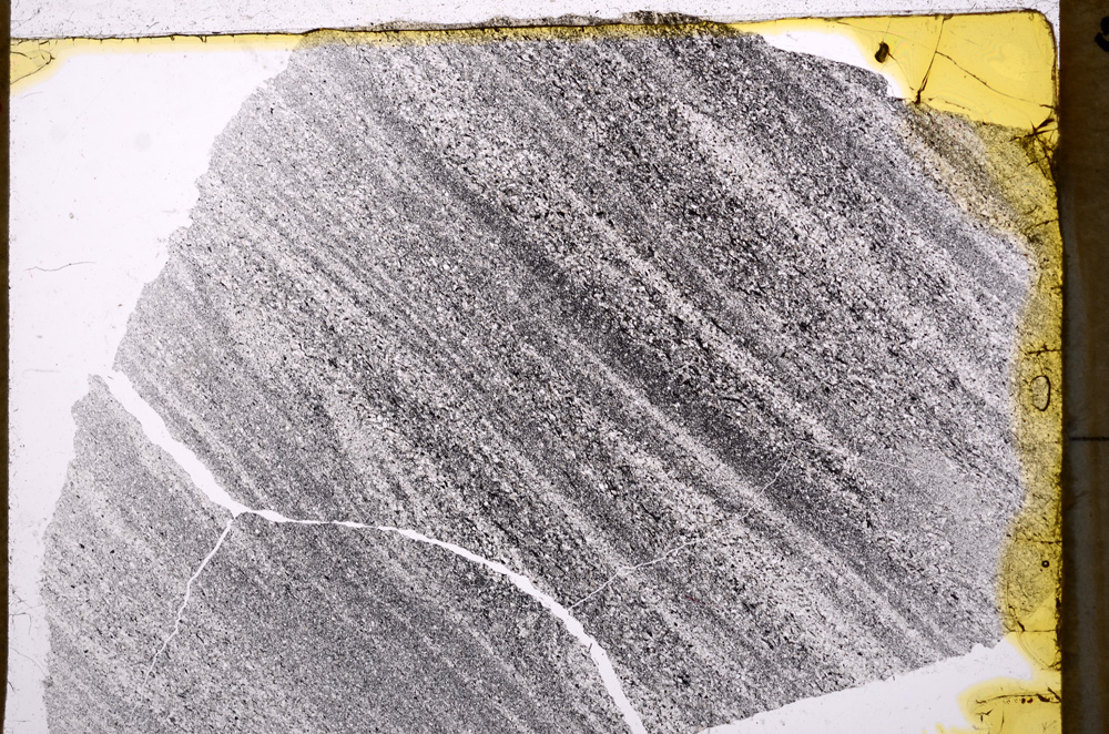 Plane Polarized, E17677