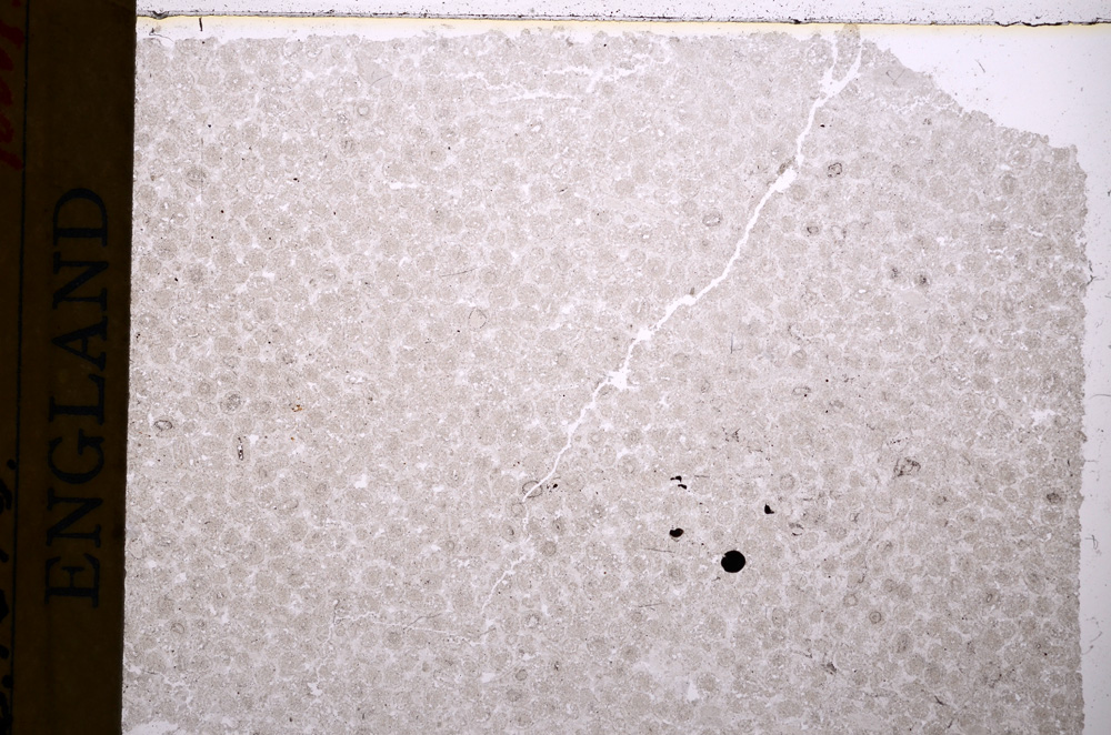 Plane Polarized, E17691