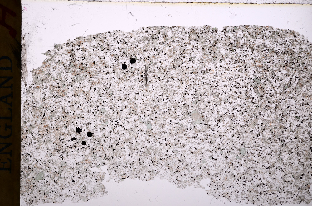 Plane Polarized, E17702