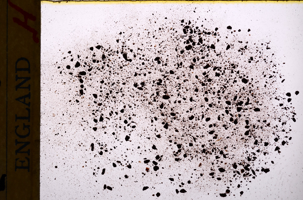 Plane Polarized, E17756