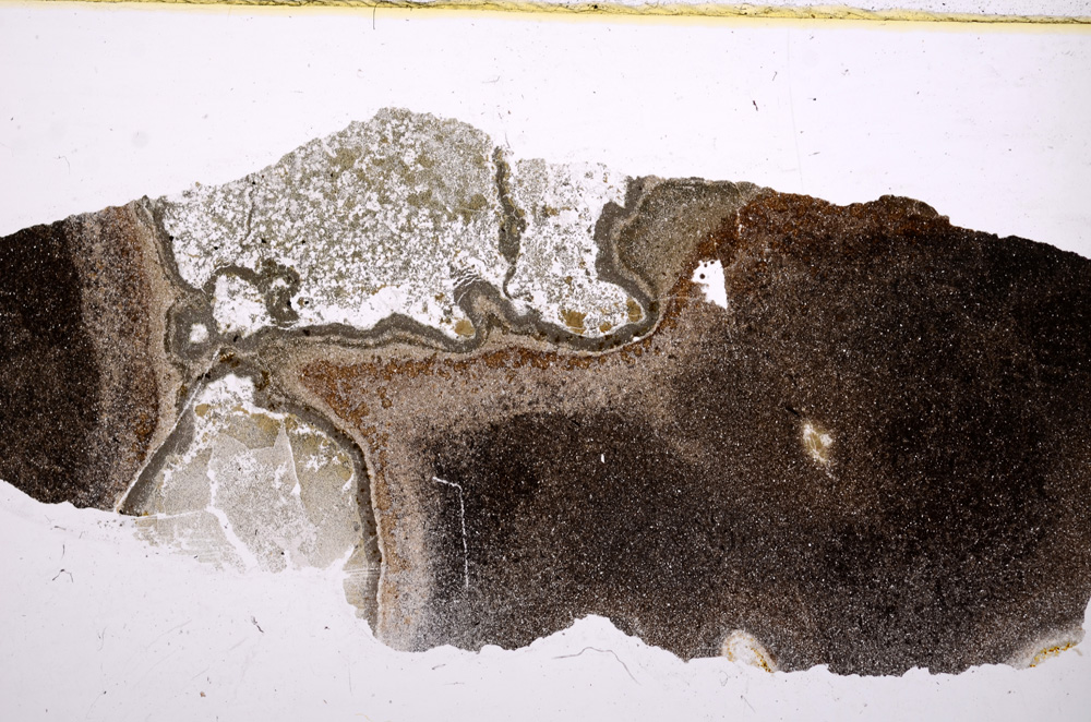 Plane Polarized, E17781