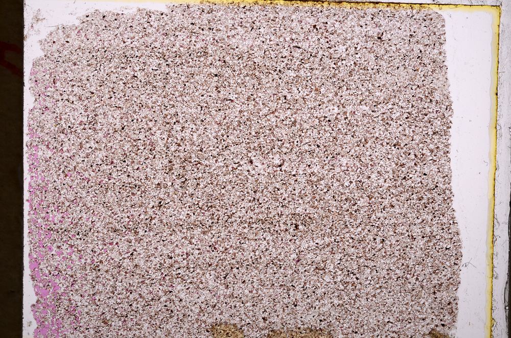 Plane Polarized, E17793