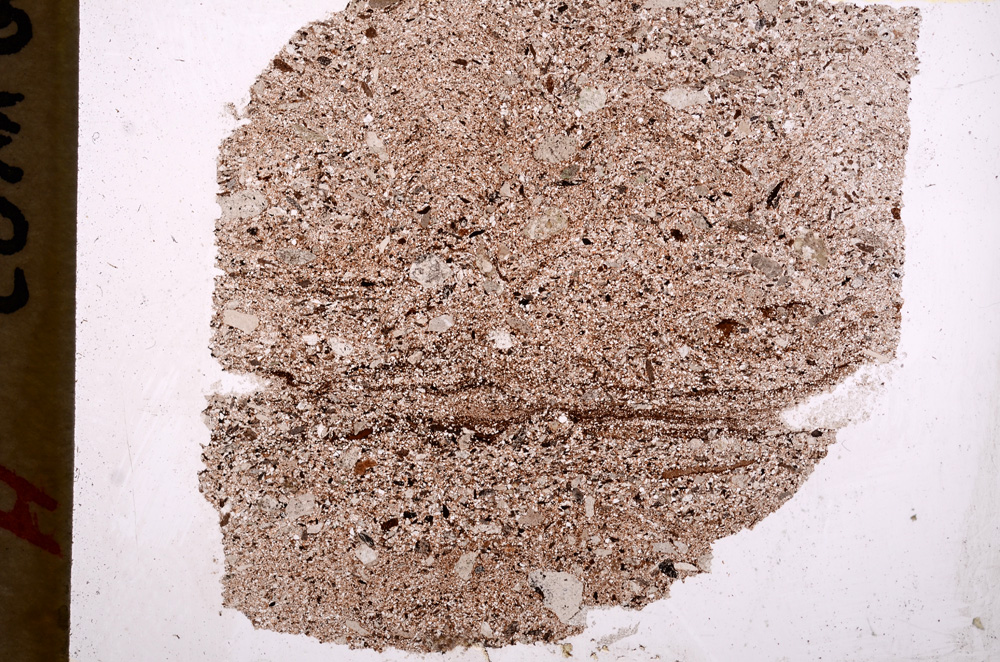 Plane Polarized, E17794