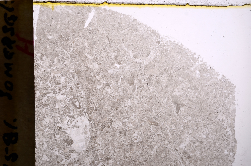 Plane Polarized, E17797