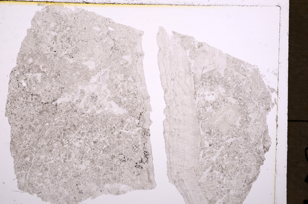 Plane Polarized, E17798