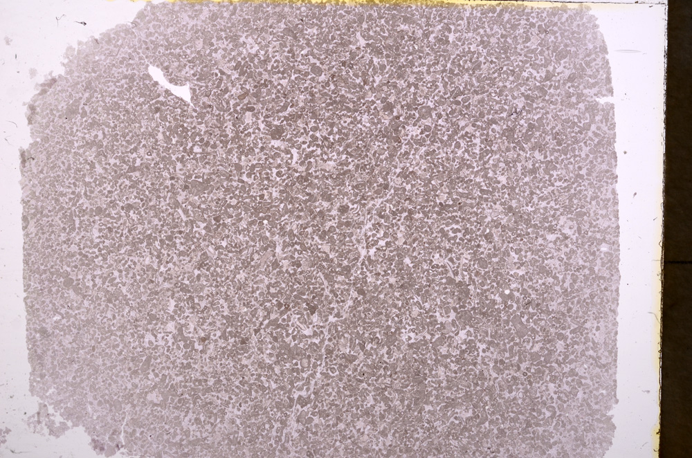 Plane Polarized, E17805/A