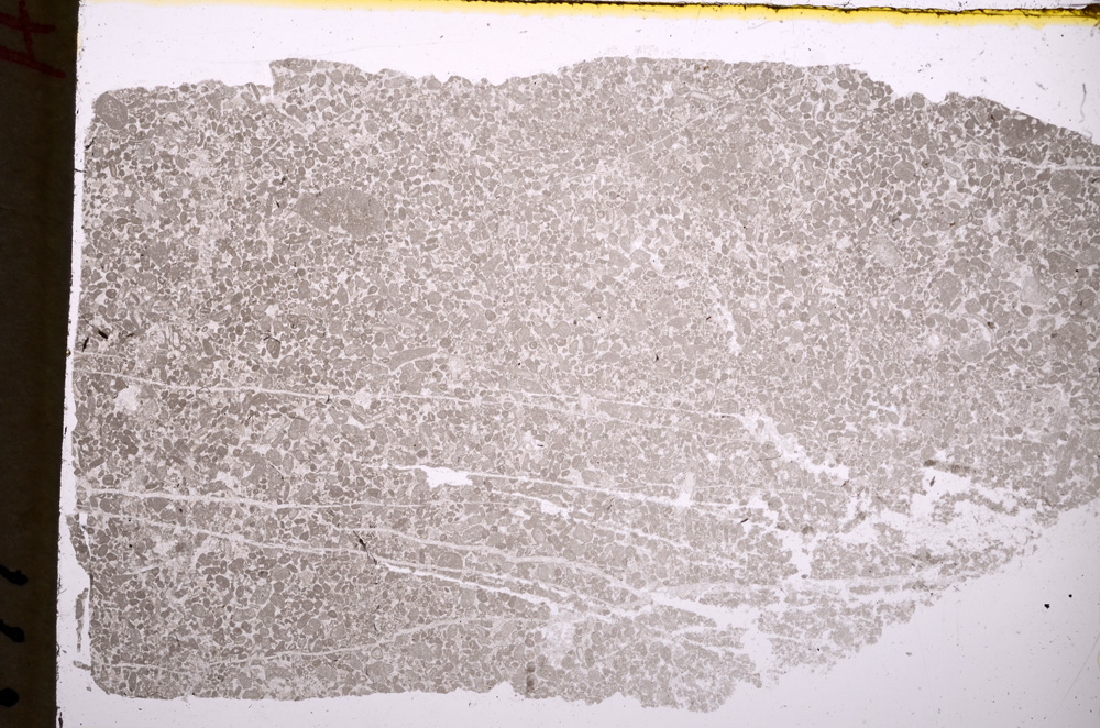 Plane Polarized, E17808