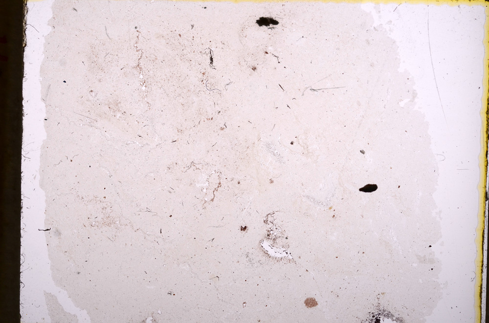 Plane Polarized, E17813