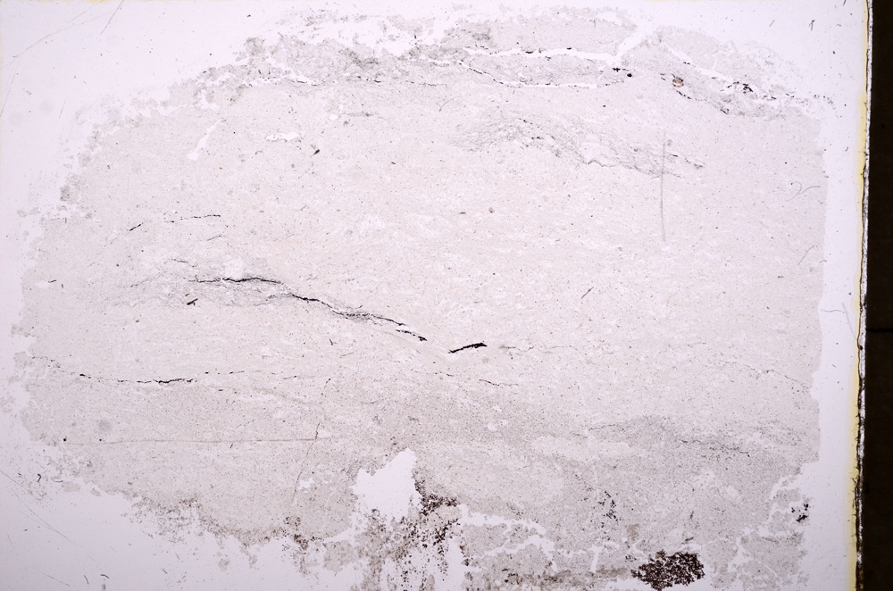 Plane Polarized, E17814