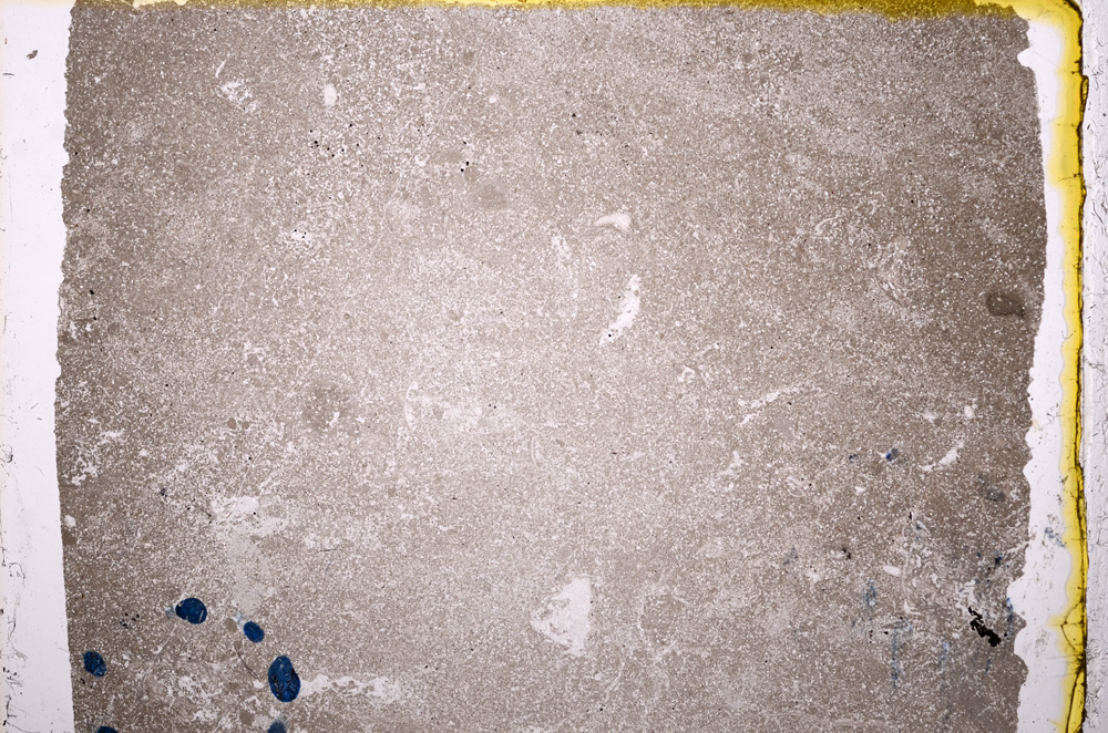 Plane Polarized, E17816