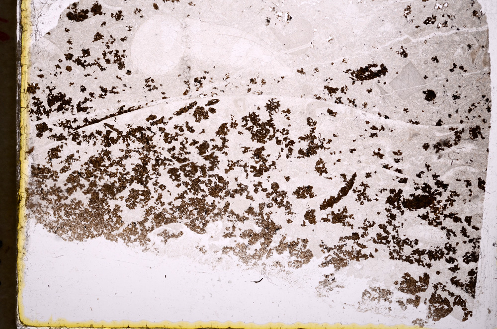 Plane Polarized, E17823