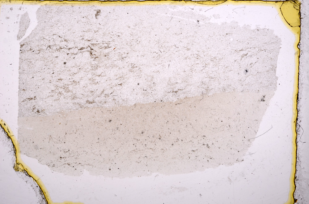 Plane Polarized, E17852