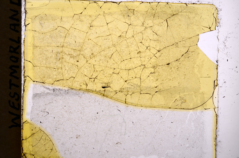 Plane Polarized, E17853