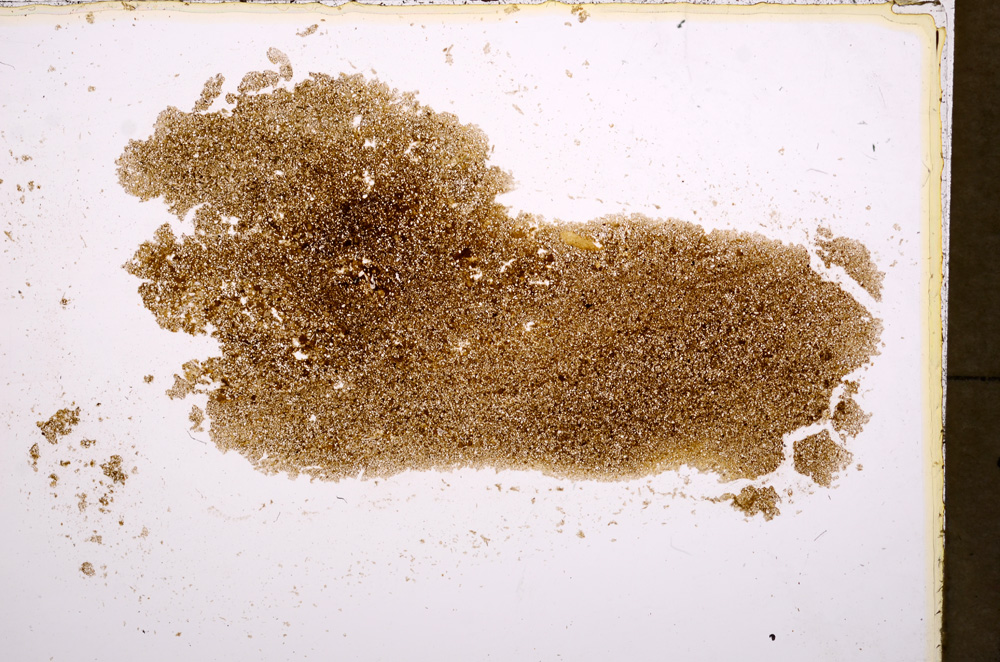 Plane Polarized, E17875