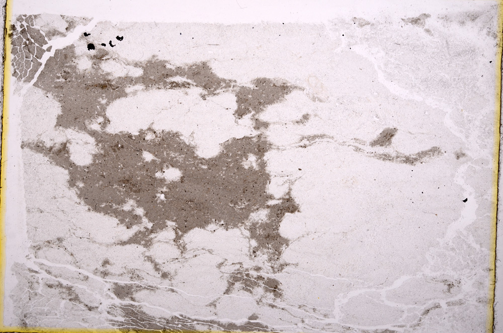 Plane Polarized, E17876