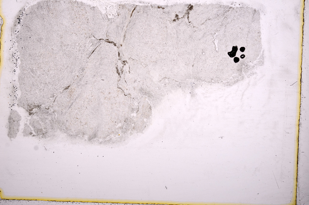 Plane Polarized, E17877