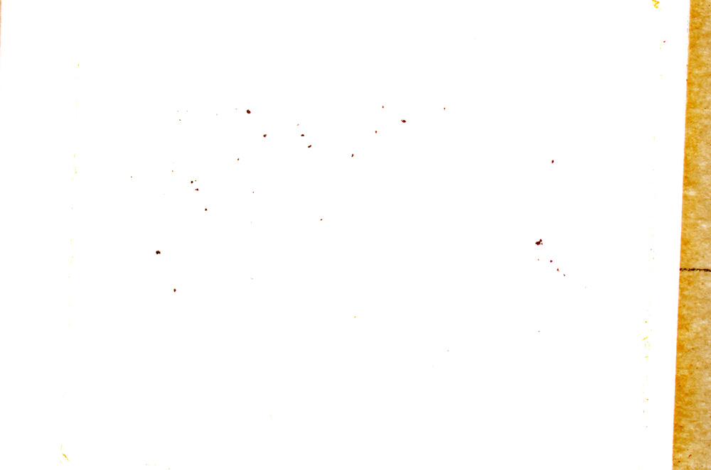 Plane Polarized, E17883