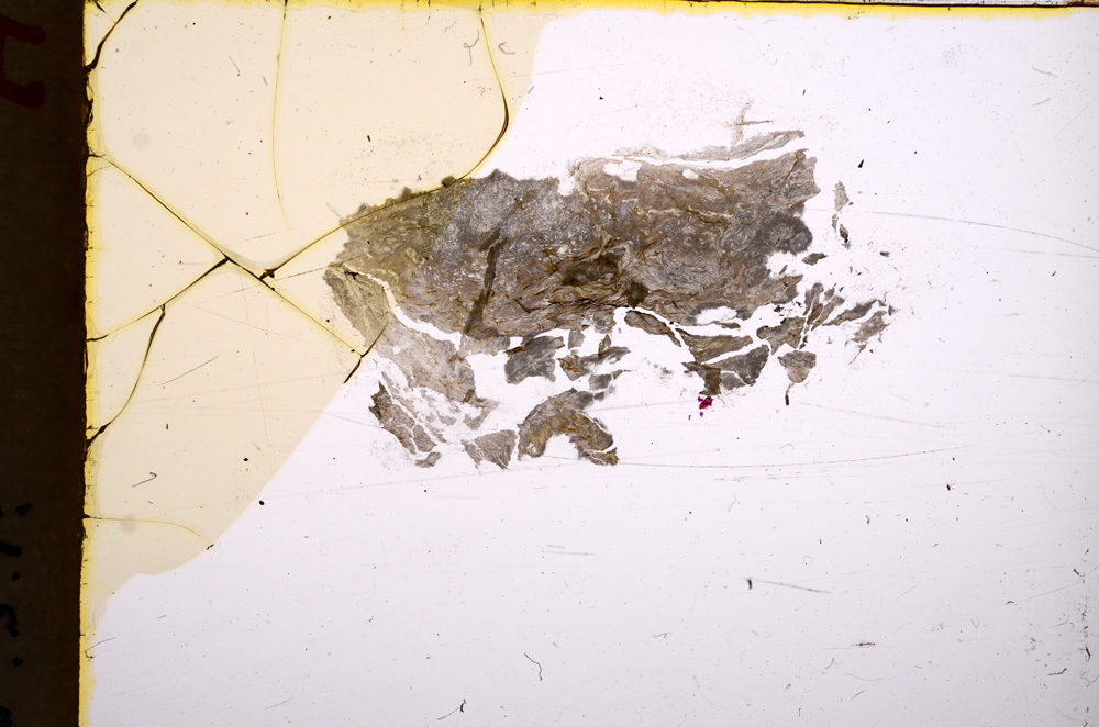 Plane Polarized, E17884