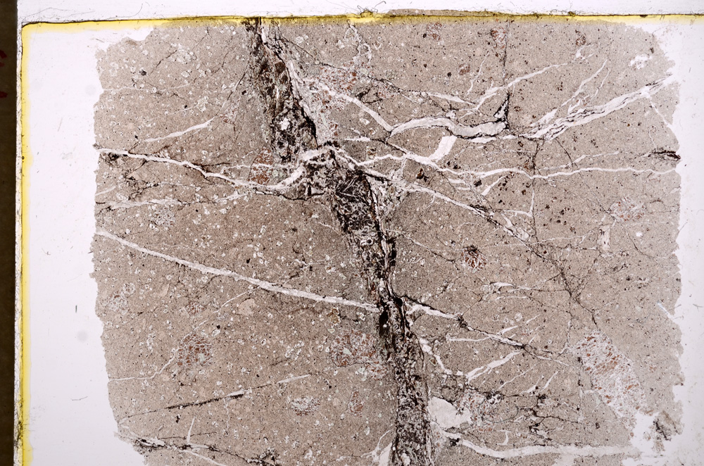 Plane Polarized, E17886