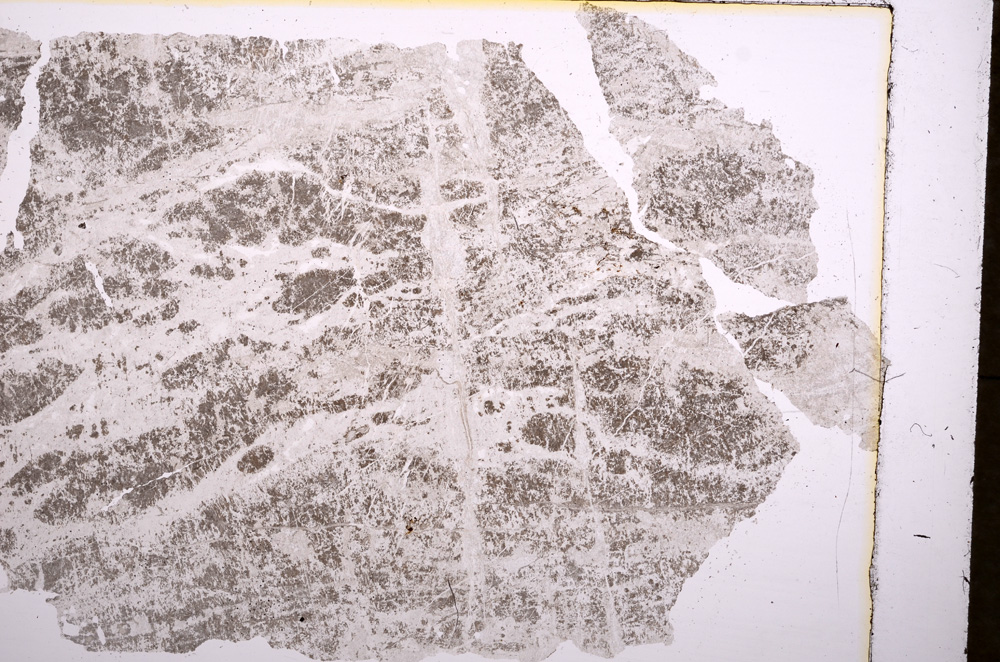 Plane Polarized, E17888