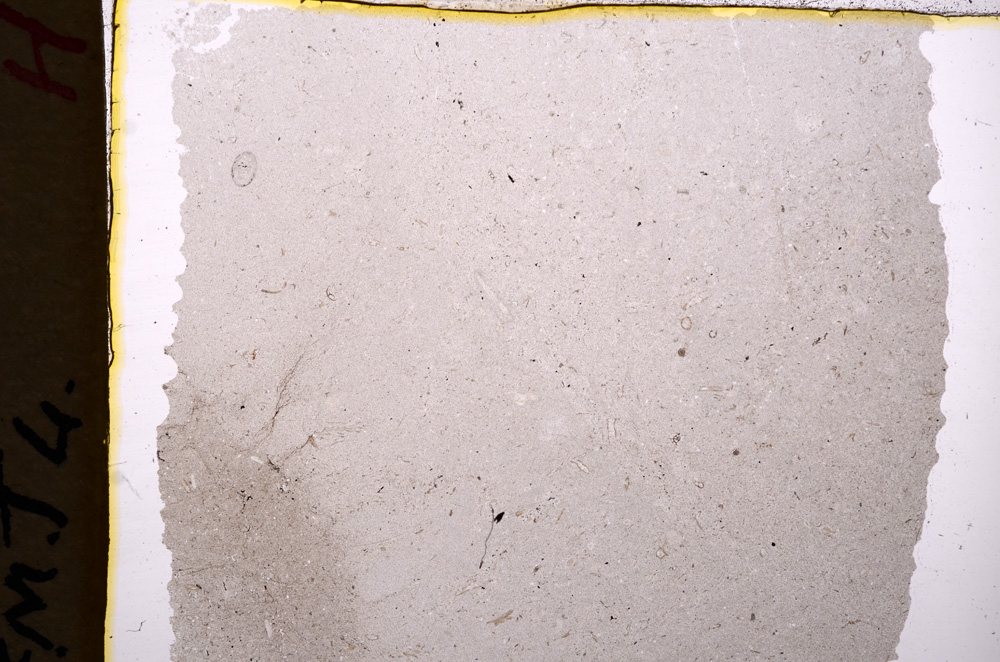 Plane Polarized, E17907