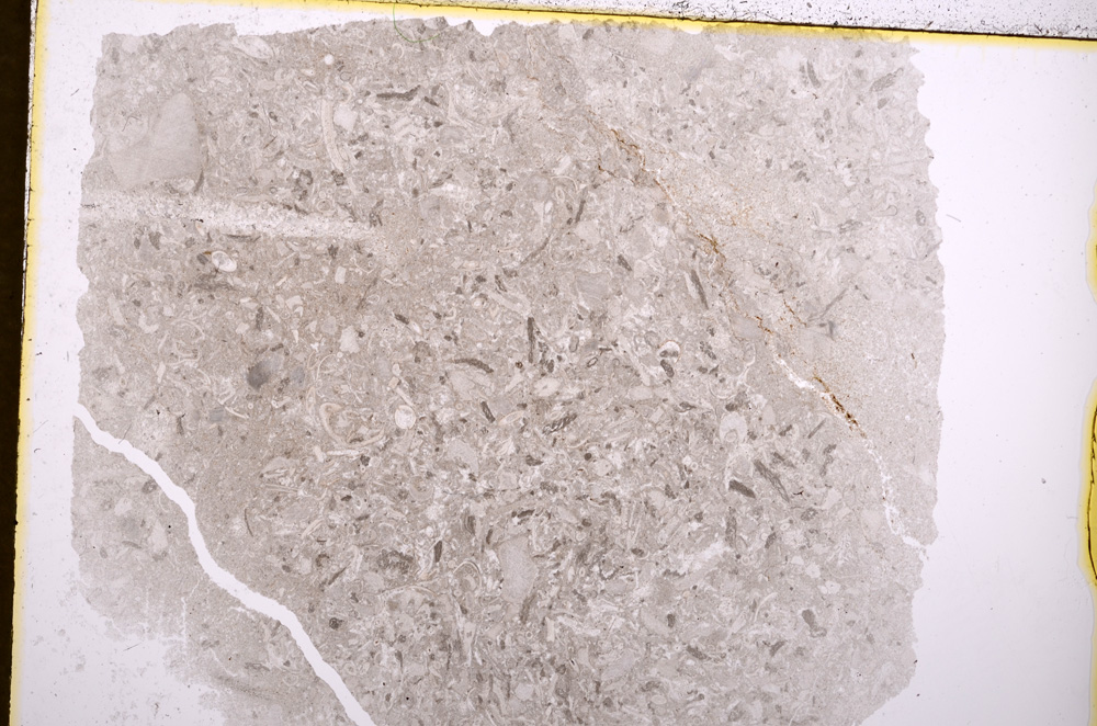 Plane Polarized, E17935/A