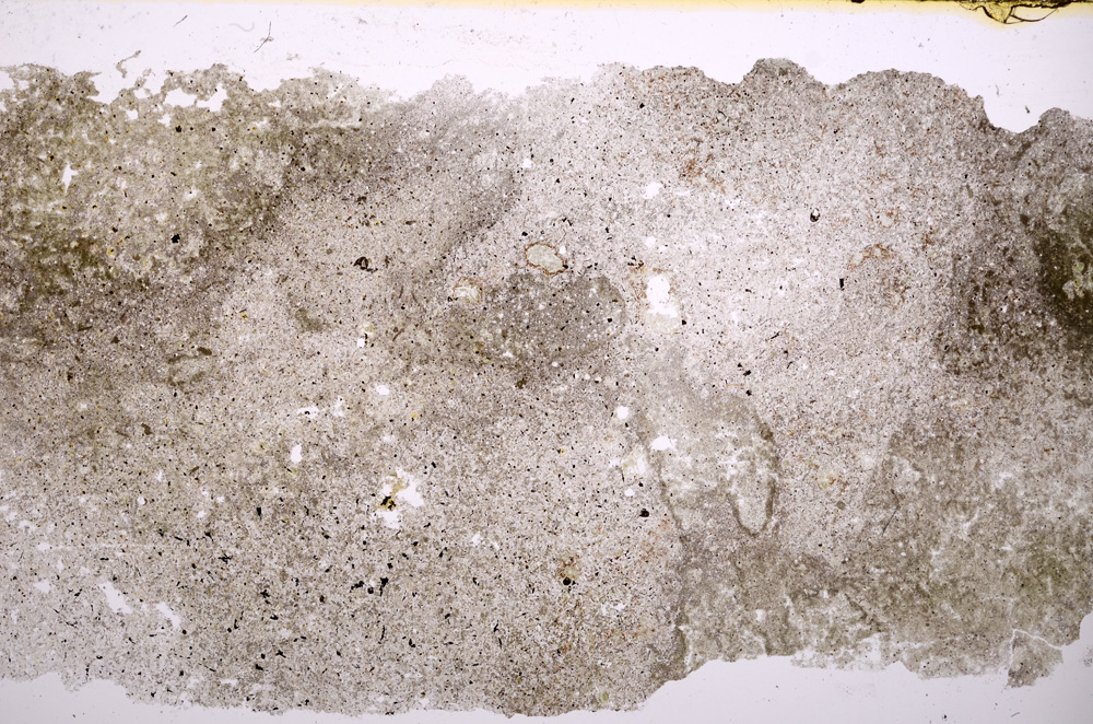 Plane Polarized, E17946