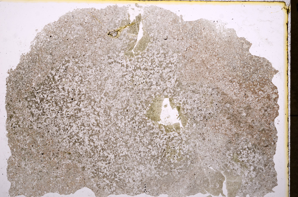 Plane Polarized, E17947