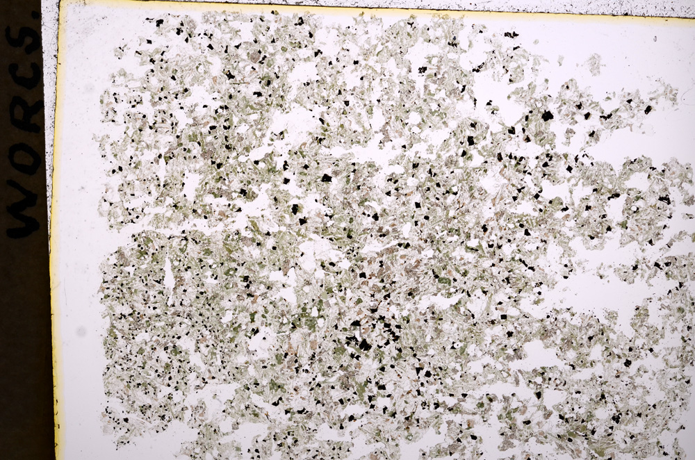 Plane Polarized, E17950