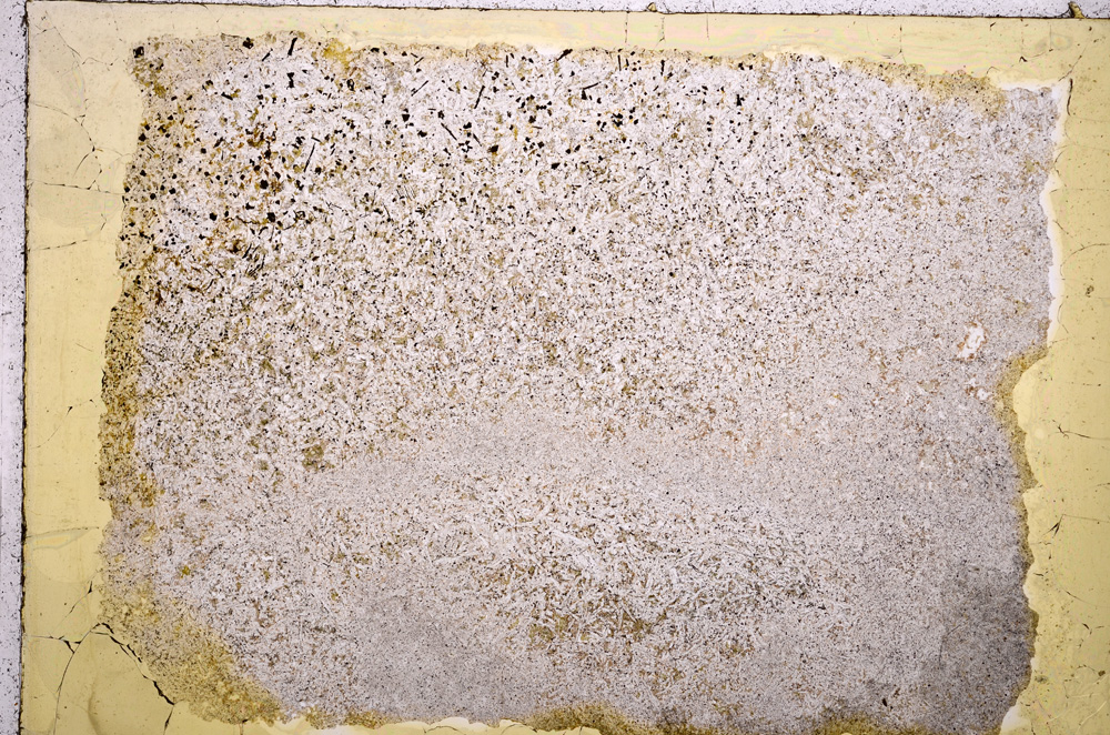 Plane Polarized, E17951