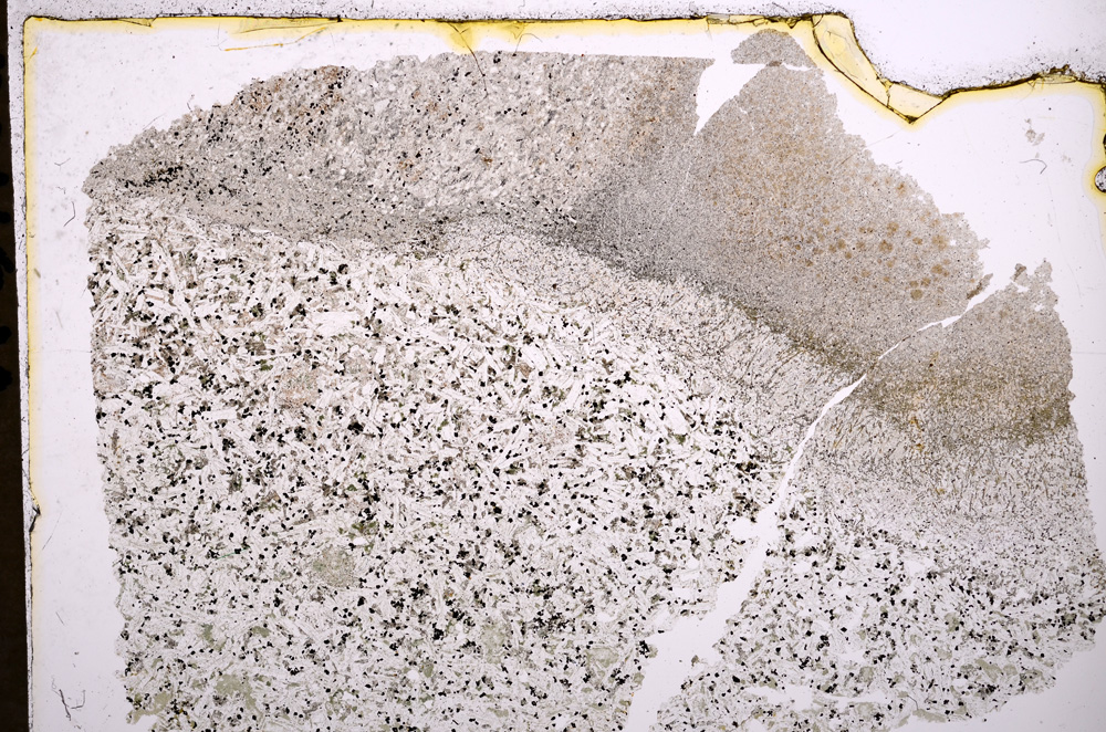 Plane Polarized, E17953