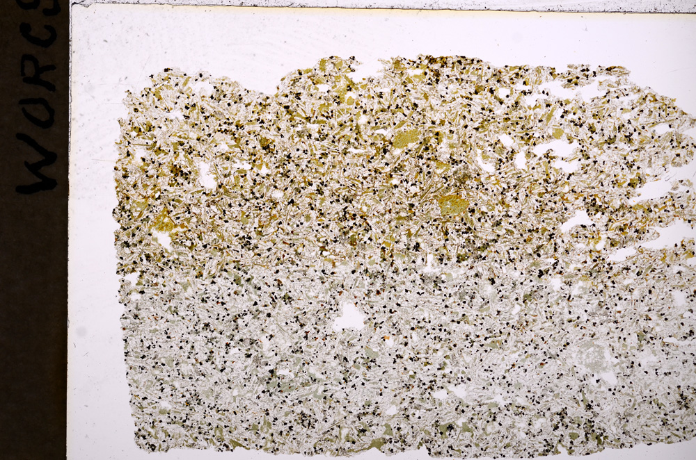 Plane Polarized, E17954