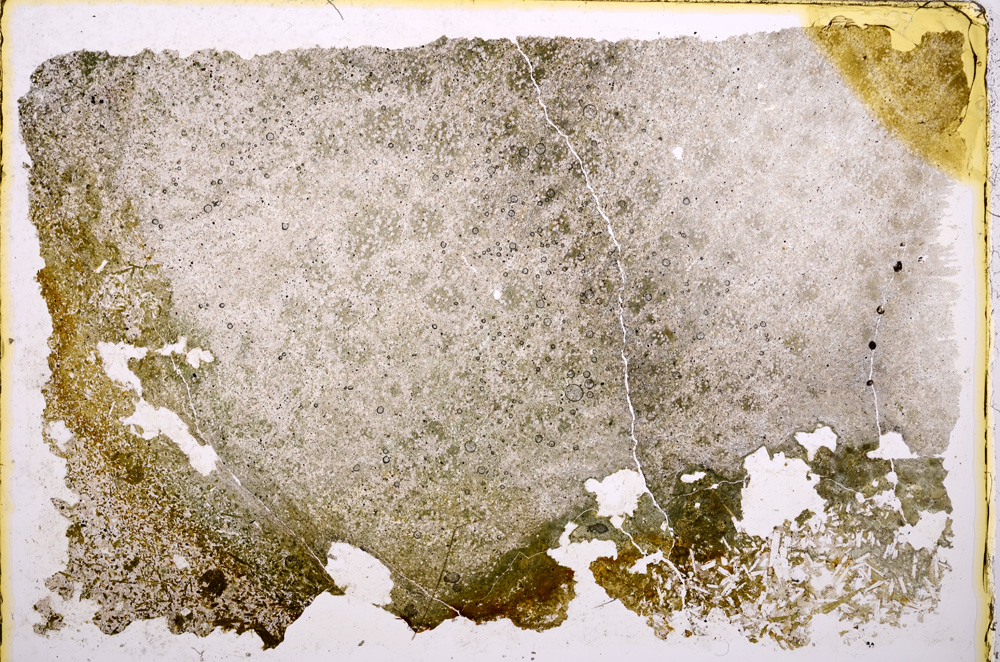 Plane Polarized, E17956