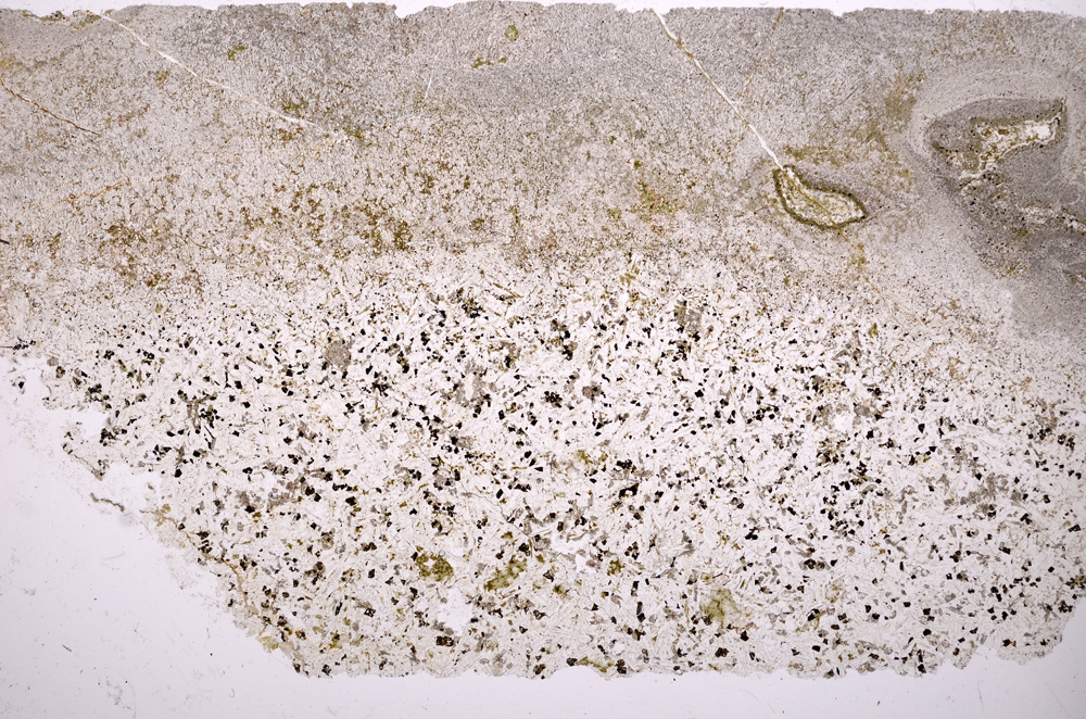 Plane Polarized, E17957