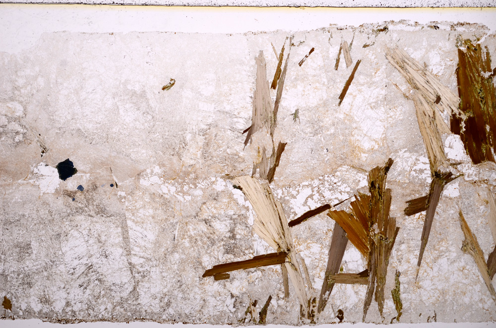 Plane Polarized, E17959