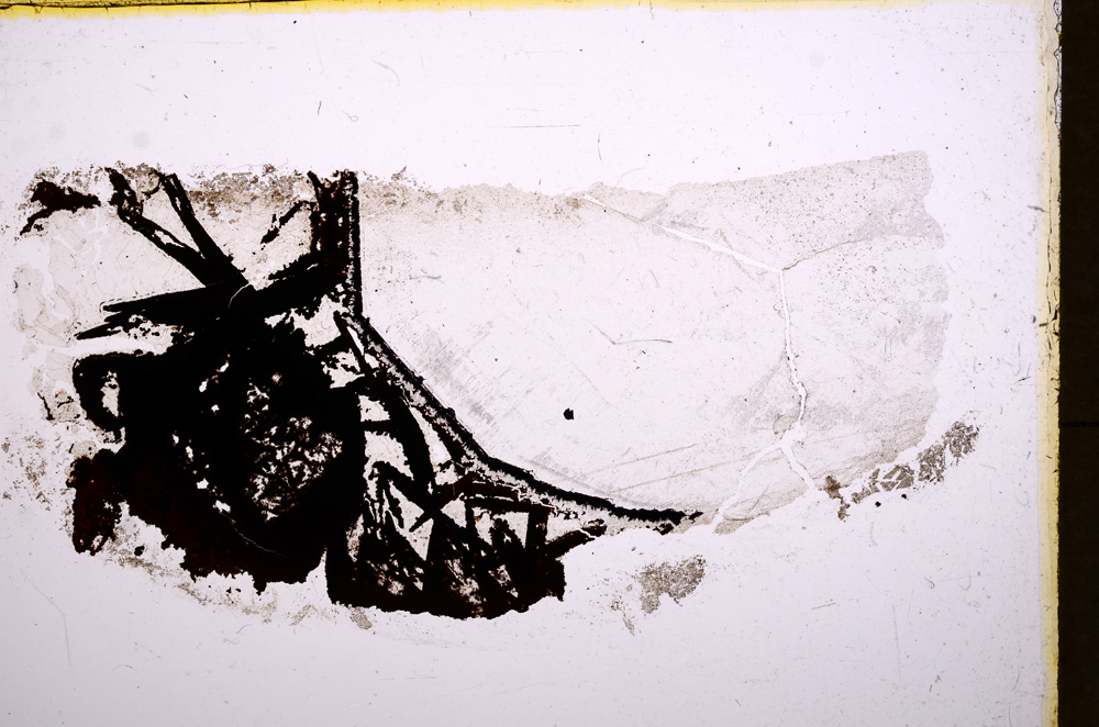 Plane Polarized, E17972/A