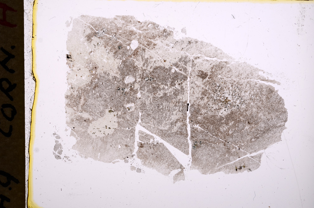 Plane Polarized, E17974
