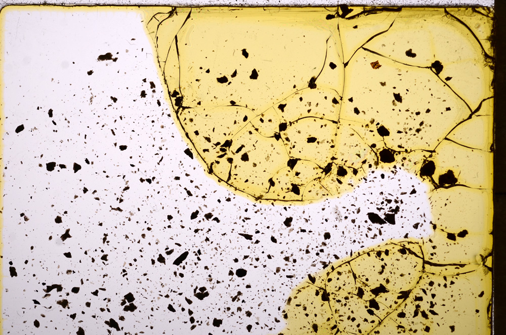Plane Polarized, E17976