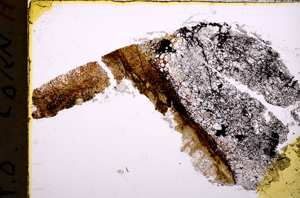 Plane Polarized, E17982