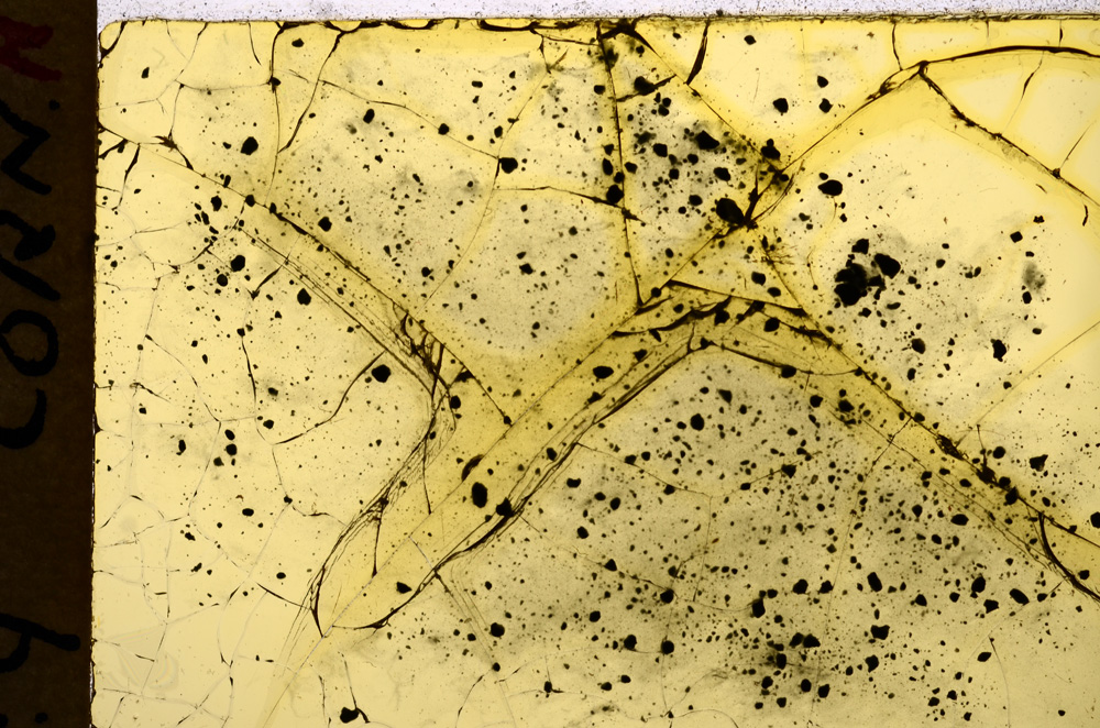 Plane Polarized, E17985/A