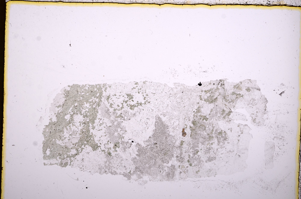 Plane Polarized, E17988