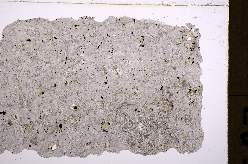 Plane Polarized, E18003