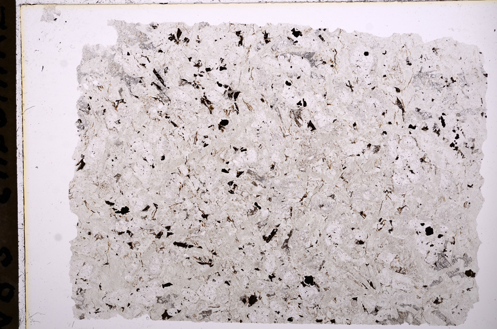 Plane Polarized, E18006