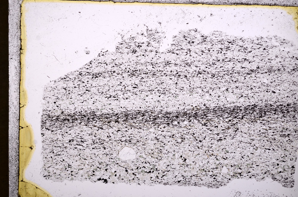 Plane Polarized, E18036