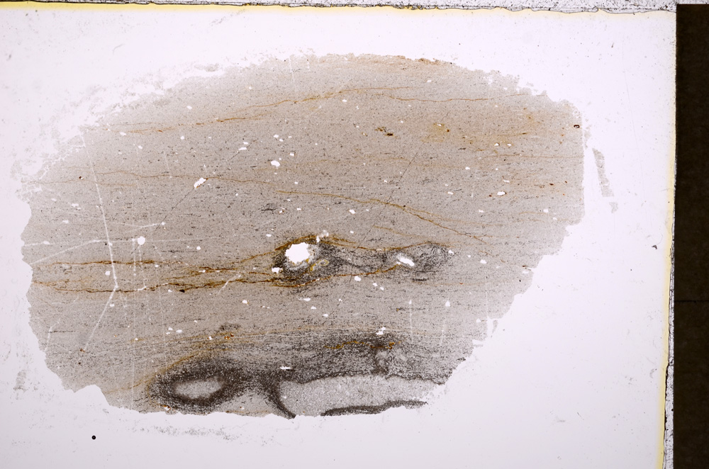 Plane Polarized, E18102