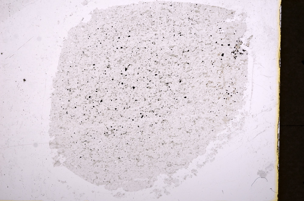 Plane Polarized, E18105