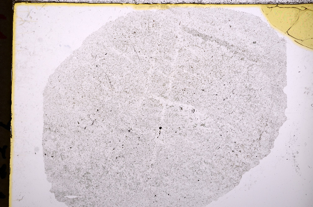 Plane Polarized, E18110